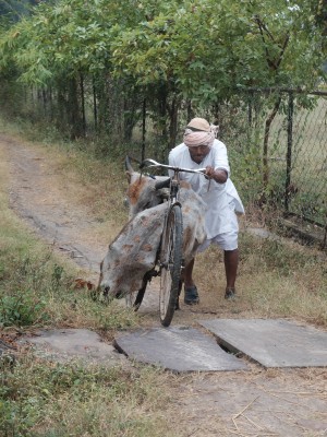 Anju on Rodu's Bicycle Nov 2023