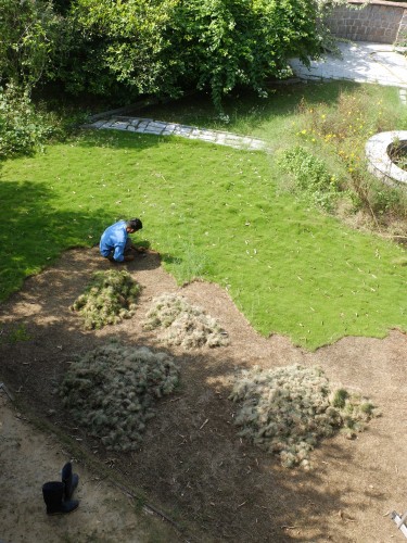 Annual Monsoonal Grass Cut Sep 2022