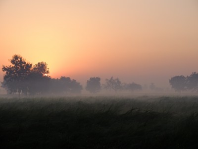 Beautiful February Sunrise