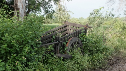 Bullock Cart Overgrown with Vegetation Sep 2019