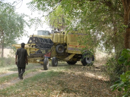 Combine Harvester for Wheat Apr 2022