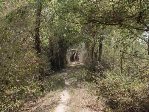 Death and Destruction of Butterfly Walk by JCB Apr 2025