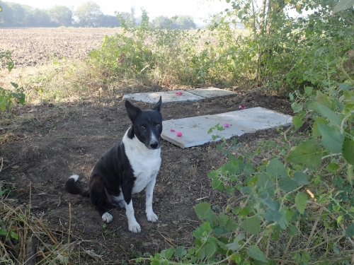 Doosra by the Graves of Former Companions Dec 2025