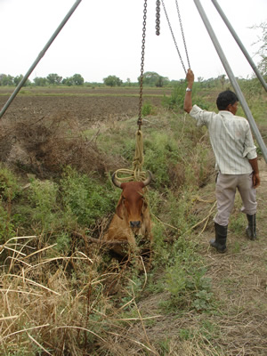 Arti in deep drainage channel