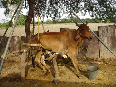 Arti on wooden supports