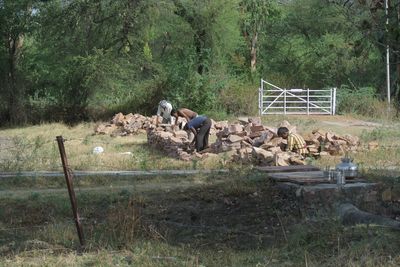 Dry Stone Wall