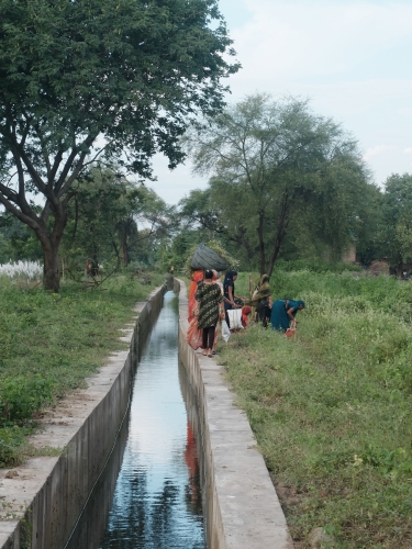 Homeward Bound Weeders Picking Wild Plants Sep 2025