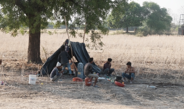 Ferozabad Boys and Their Tent May 2025
