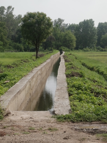 Ghansi Taking Water in Minor to Next Farm from Our Farm Jul 2025