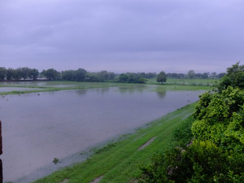 Flooded Fields Aug 2021