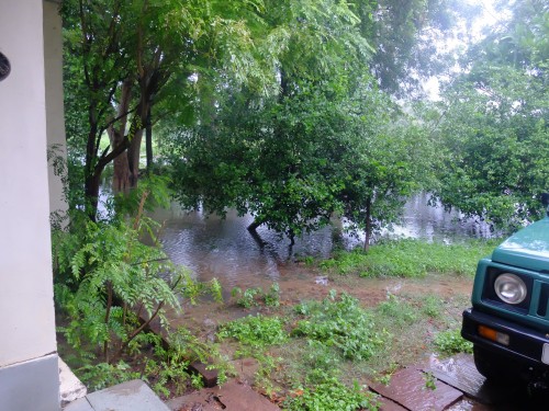 Garden Flooded 4-5th Aug 2021