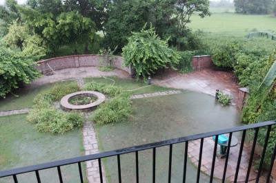 Garden under water