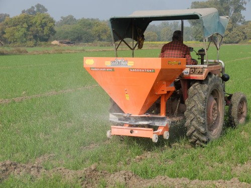 Ghasi Spreading Urea Fertiliser Jan 2025