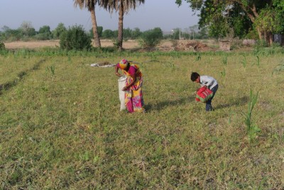 Gleaning Moong