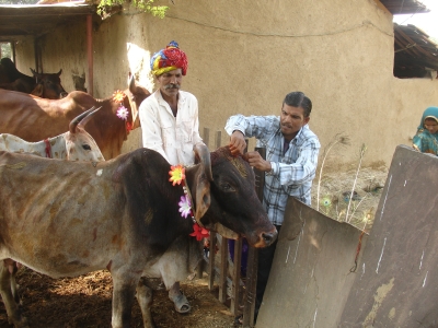 Mun-mun at Govardhan Puja