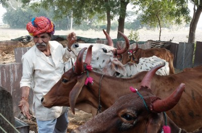 Govardhan Puja Nov 2018