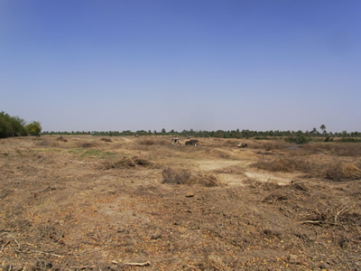 Government Farm Clearances