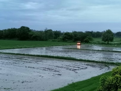 Grading Flooded Rice Field July 2022
