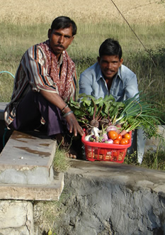 Washing Veg by Well