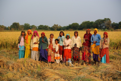 Break from Harvesting Rice