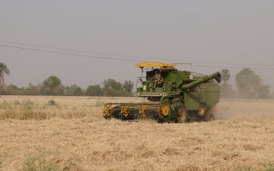 Wheat Harvesting April 2018