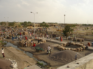 Grain Market