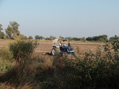 Last Wheat to be Sown