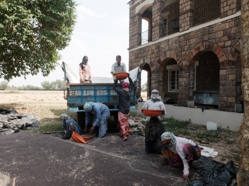 Loading Trolley with Mustard for Market Apr 2023