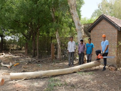 Logging Eucalyptus June 2022