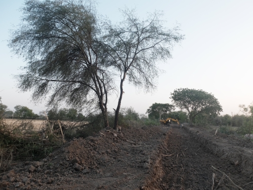 Long View of Destroyed Butterfly Walk Looking WSW Apr 2025