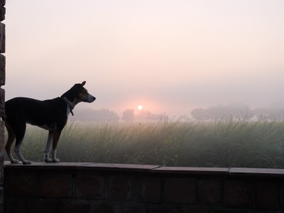 Lucy and January Sunrise