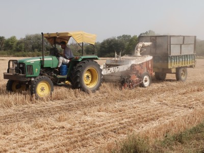 Making Fodder from Wheat Stalks Apr 2021