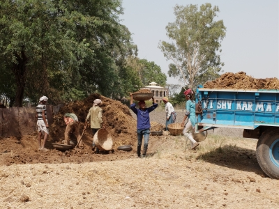 Mama labour from MP lifting gobar manure
