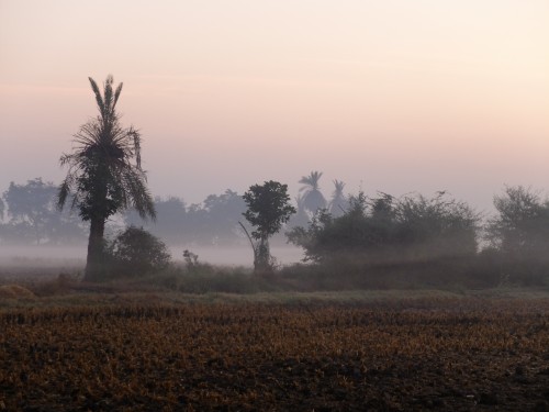 Misty Morning Dec 2022