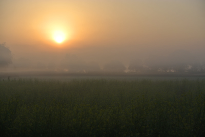 Misty sunrise in January