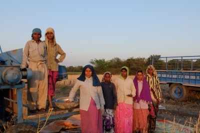 Mustard Threshing Team