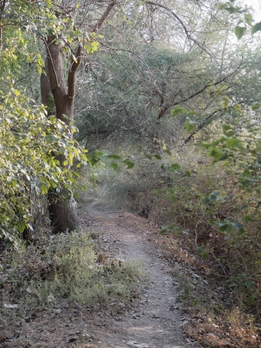 Our Beloved Butterfly Walk Apr 2025