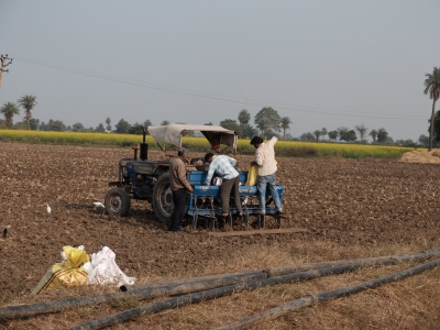 Filling Seed Drill with Wheat and DAP Dec 2019