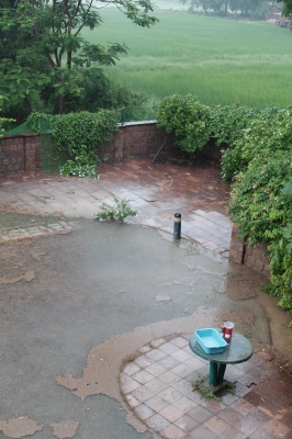 Rain Gauge in the Garden Aug 2019