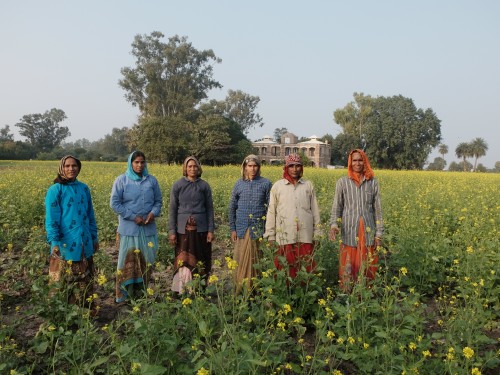 Rice Cutting Team Dec 2021