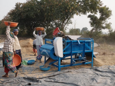 Winnowing Rice