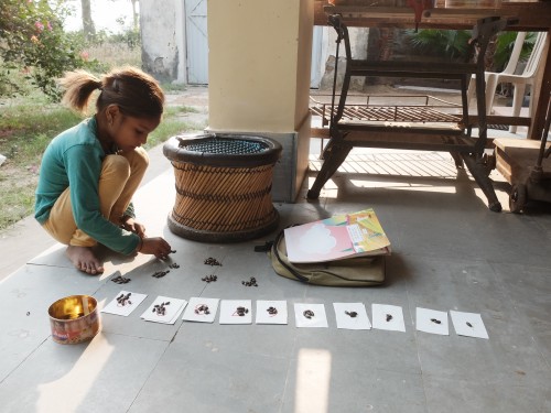Ritu Learning to Count with Seeds Oct 2020