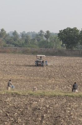 Sowing Wheat Dec 2018