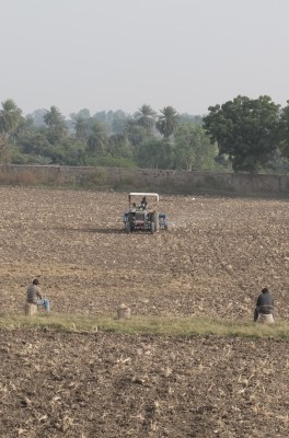 Sowing Wheat Dec 2018