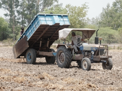Spreading Gobar Manure in Field Jun 2025