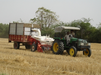 Stalk cutting machine