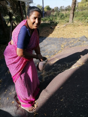 Sugna Filling Mustard in Jar for Kitchen Mar 2026