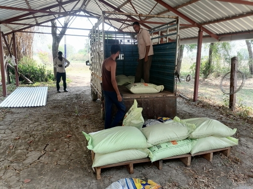 Taking Delivery of DAP for Rice June 2026