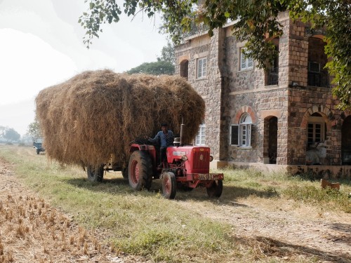 Trolley Load of Rice Pral Sold Nov 2022