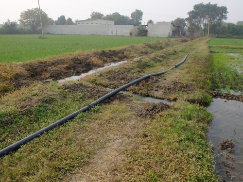 Watering from Canal and Tubewell Wheat Jan 2026